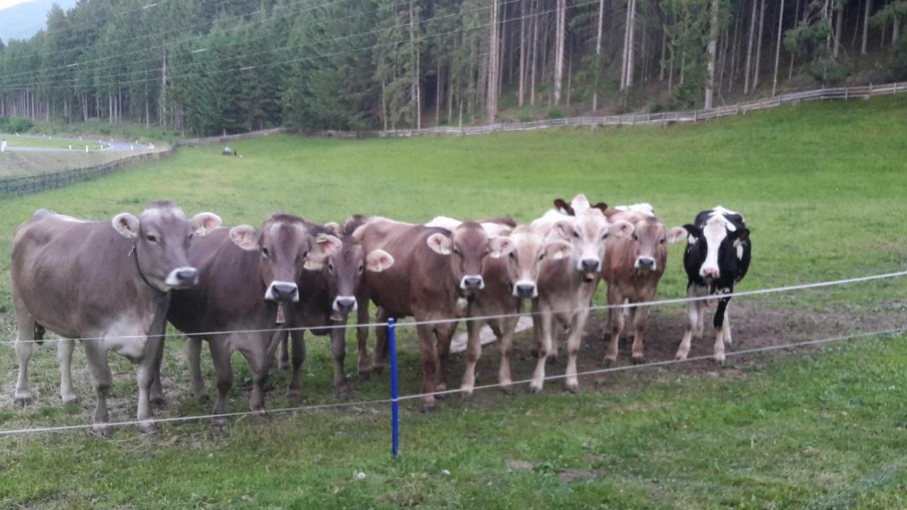 Schusterhof Apartman Innsbruck Kültér fotó